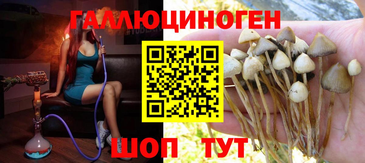 Галлюциногенные грибы GOLDEN TEACHER  где найти   Липецк  Вход с VPN 